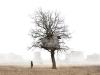 Untitled work by Geoffrey Pugen, available at Toronto’s Angell Gallery.