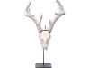 A Swarovski-encrusted, mounted deer skull adds mystery and glam to your surroundings. 