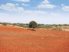 The area’s rich, rust-coloured soil sees many fruit and olive trees flourish. 