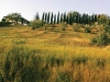 Tuscany’s golden hillsides are an unforgettable sight. 