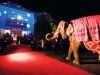 A glamorous celebration executed by Robert Fountain leaves no details unturned, with entertaining hosts leading the way to a fun-filled evening. 