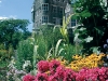 Besides the tall, standing castle at Casa Loma, its charming plants will make you feel like you’ve stepped into the pages of a fairytale.     