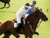 Polo elite strive to win Cartier’s Maillet d’Or trophy.