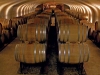 Vineland Estates cellar, Riesling