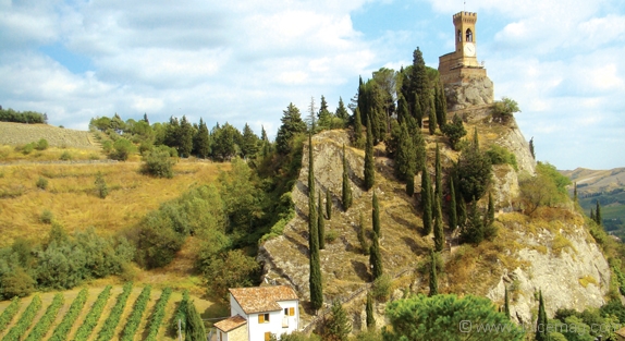 Italy’s Black Gold